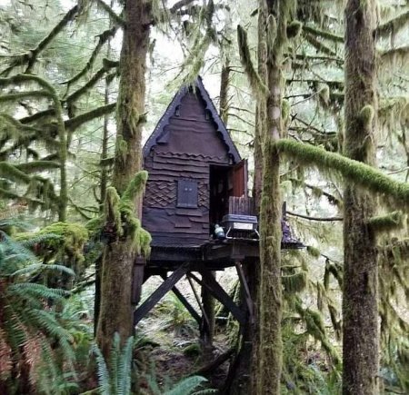 Մանկապիղծը ծառի վրա կառուցած հեքիաթային տնակում պահել է մանկական պոռնոգրաֆիկ նյութեր․ ԼՈՒՍԱՆԿԱՐ